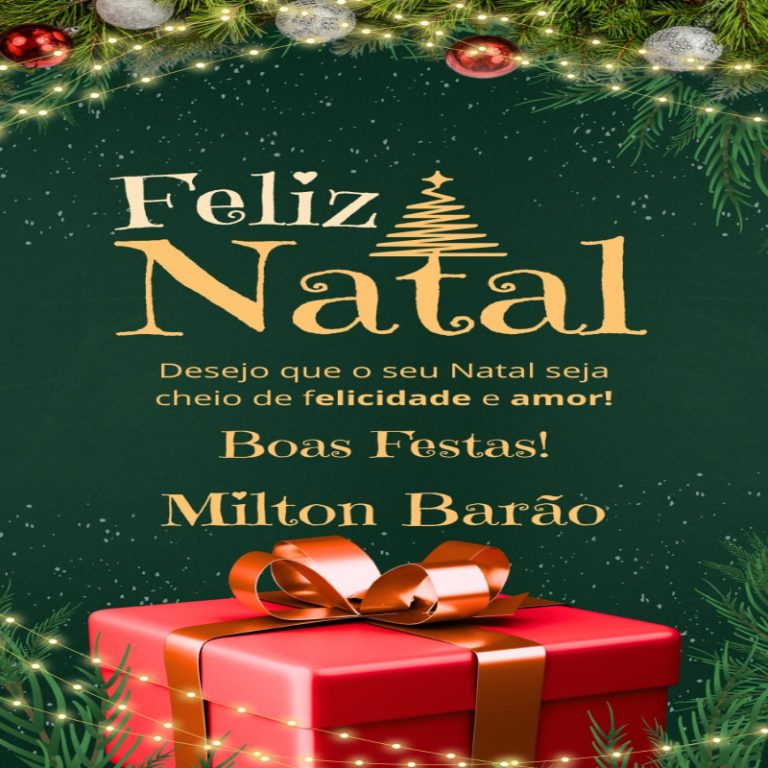 Boas Festas e um Feliz Natal!