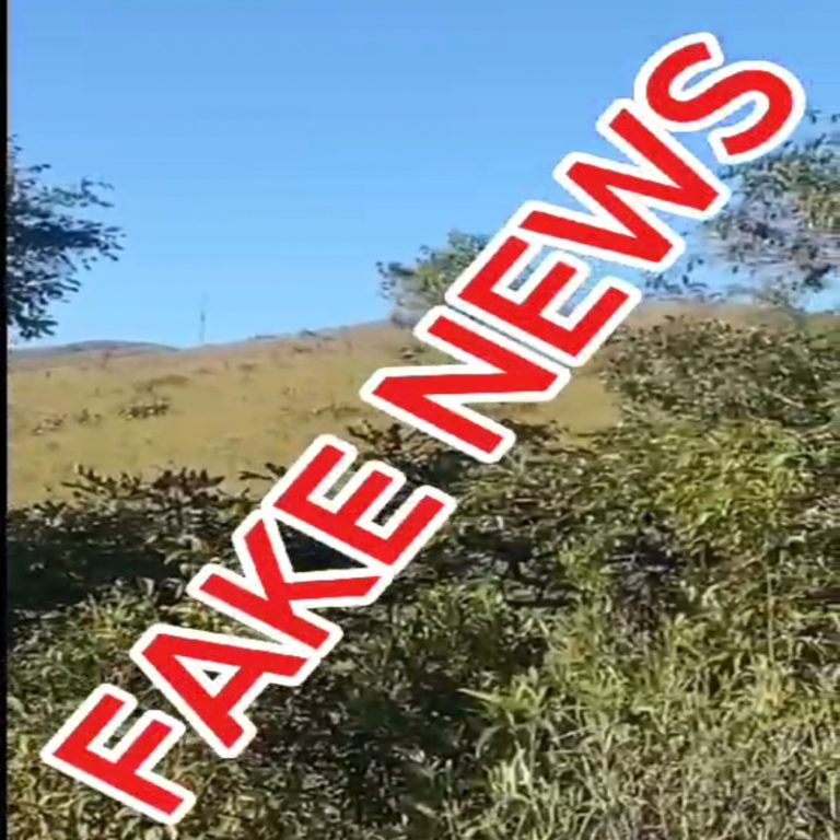 NOTA DE ESCLARECIMENTO DA AMBIENTAL SOBRE LEÃO BAIO