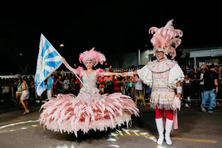 A noite das Escolas na Avenida