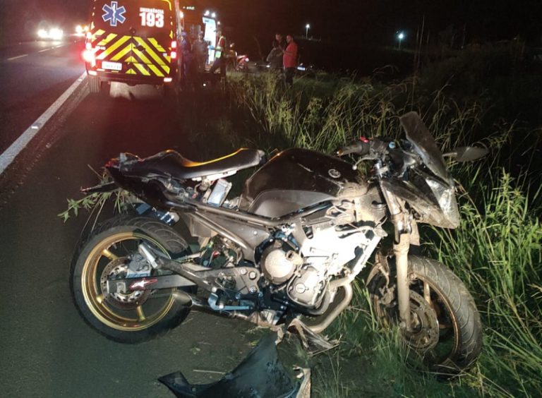 Irmão do deputado Lucas Neves fica ferido ao ser surpreendido por bando de javalis