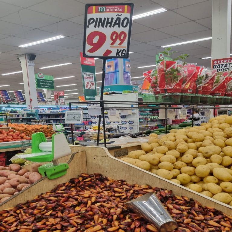 Procon faz levantamento sobre o preço do pinhão