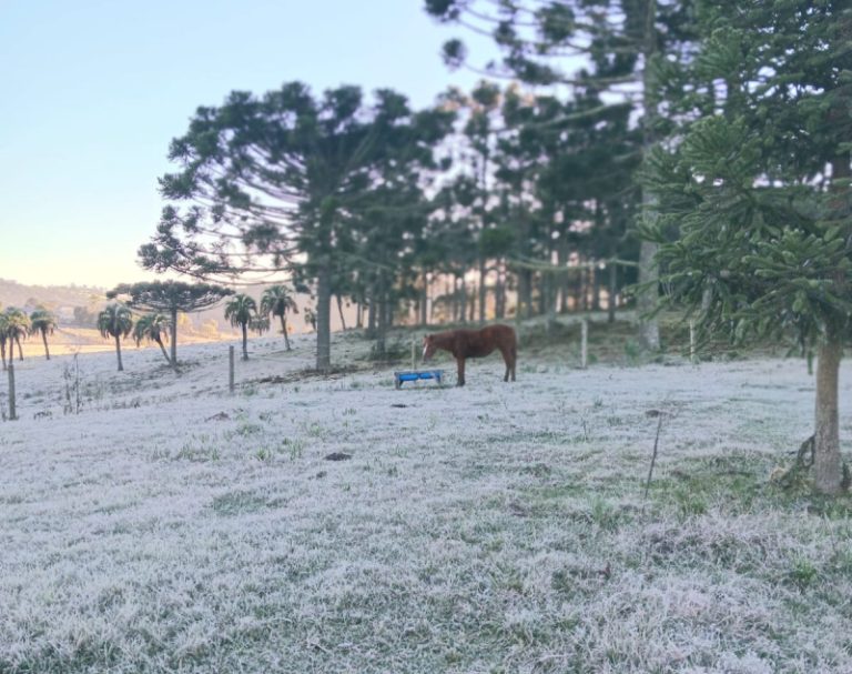 Campos de Cima da Serra cobertos de gelo