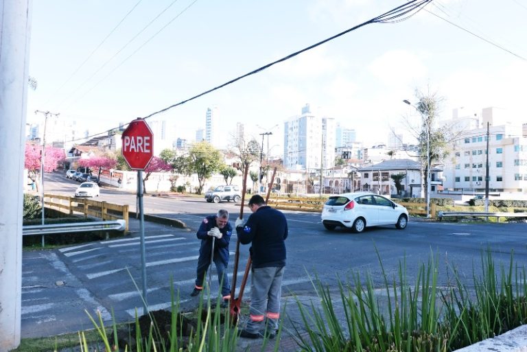 Festival de Corais promete emocionar com homenagem a Daniel Lucena