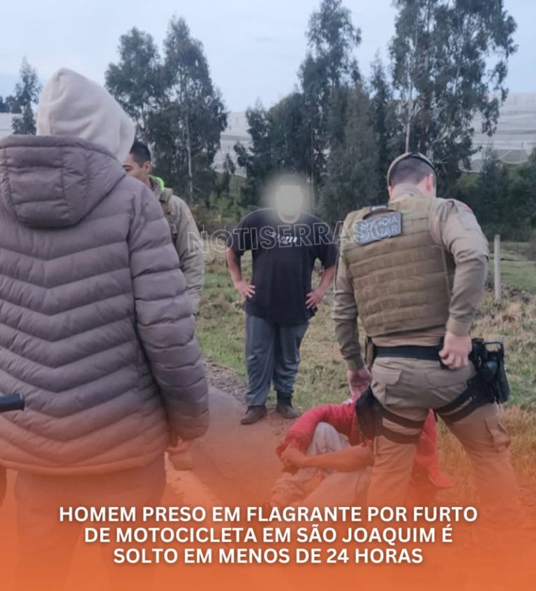 Solto em menos de 24h