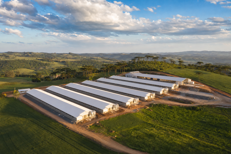 Capão Alto vai abrigar maior empreendimento avícola da Serra Catarinense com R$ 75 milhões em investimento e 24 galpões de matrizes
